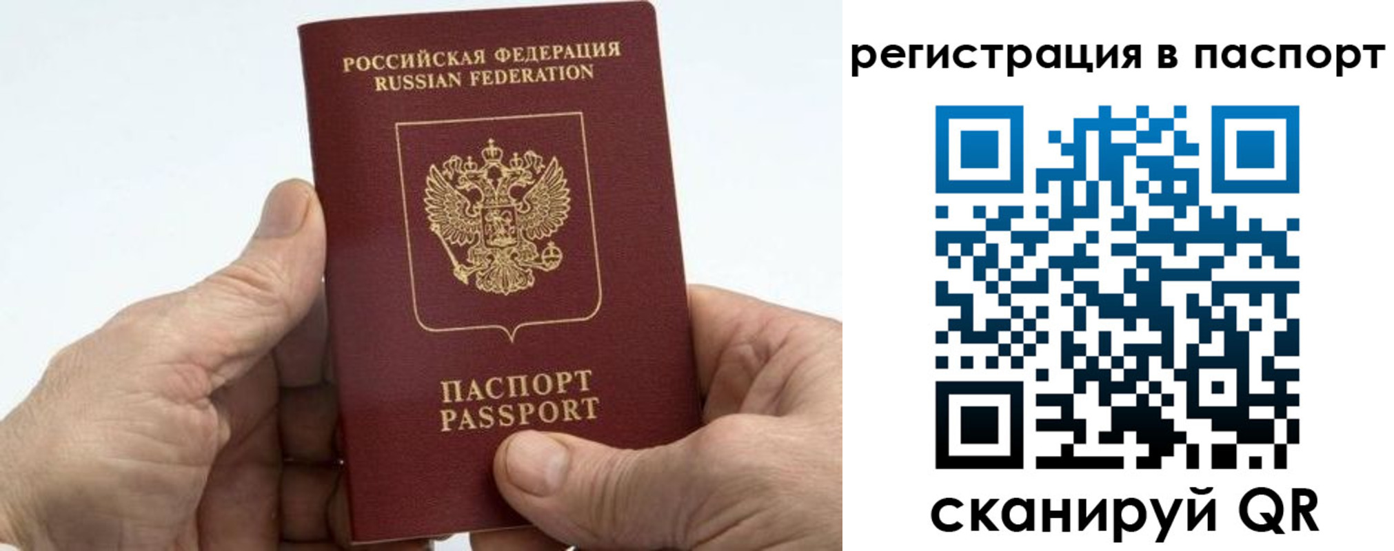 купить прописку в Покрове